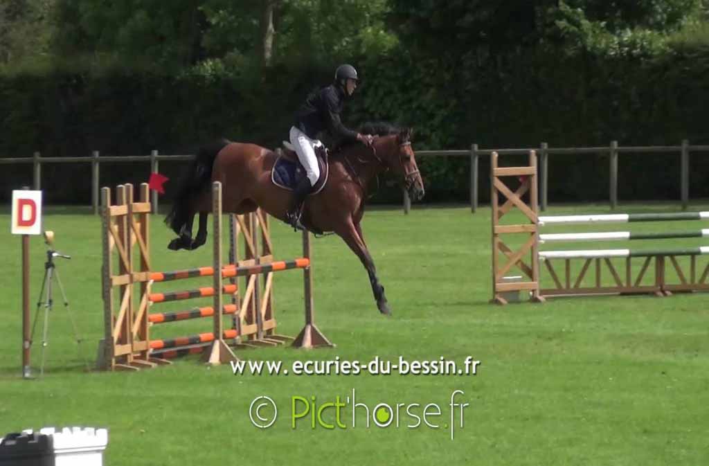 Equitation